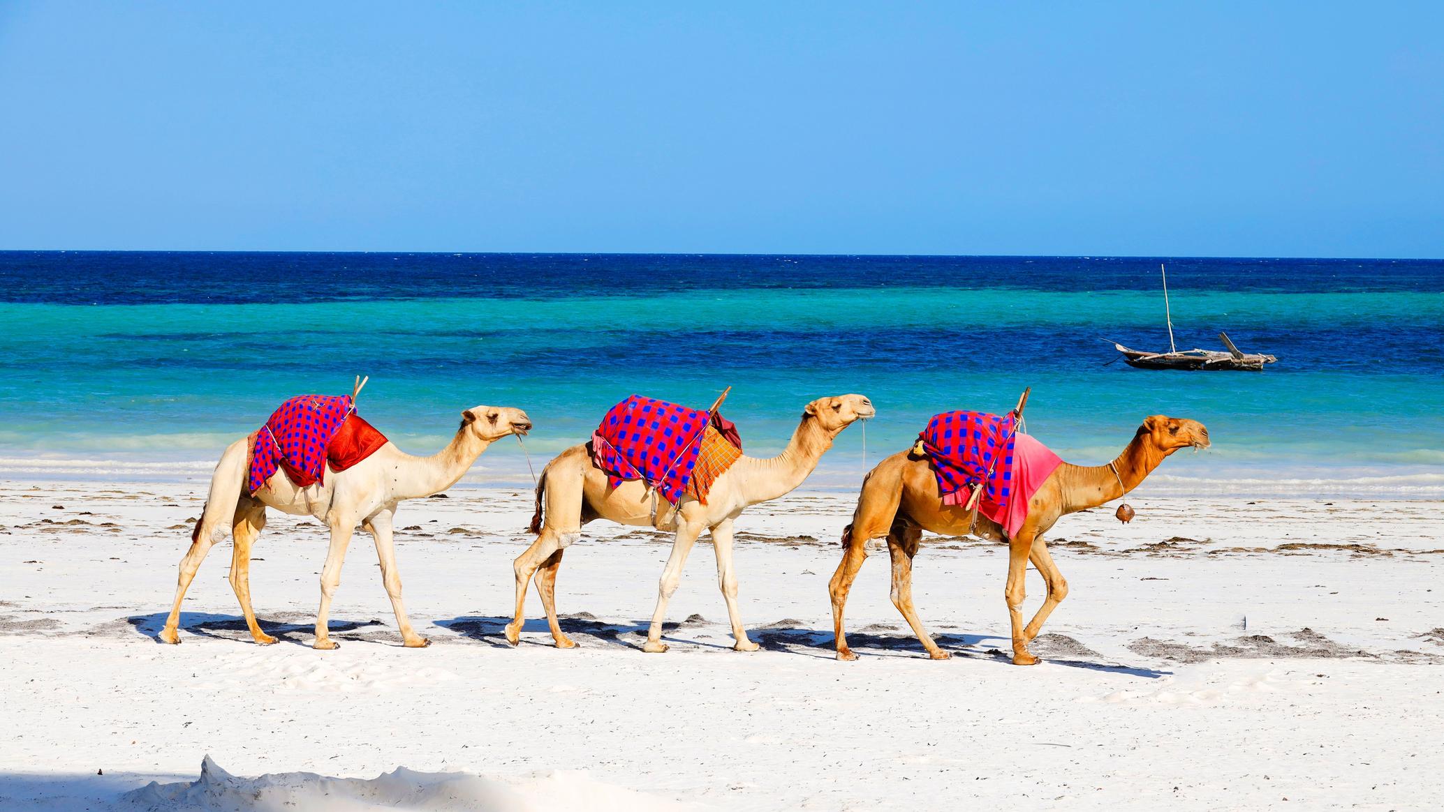 Diani Beach Getaway